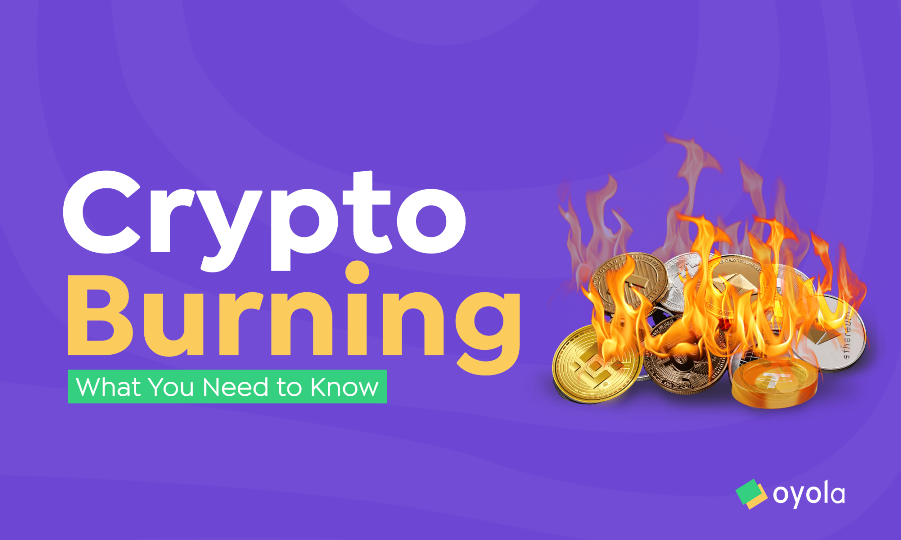 how much do you get from burning cryptocurrency